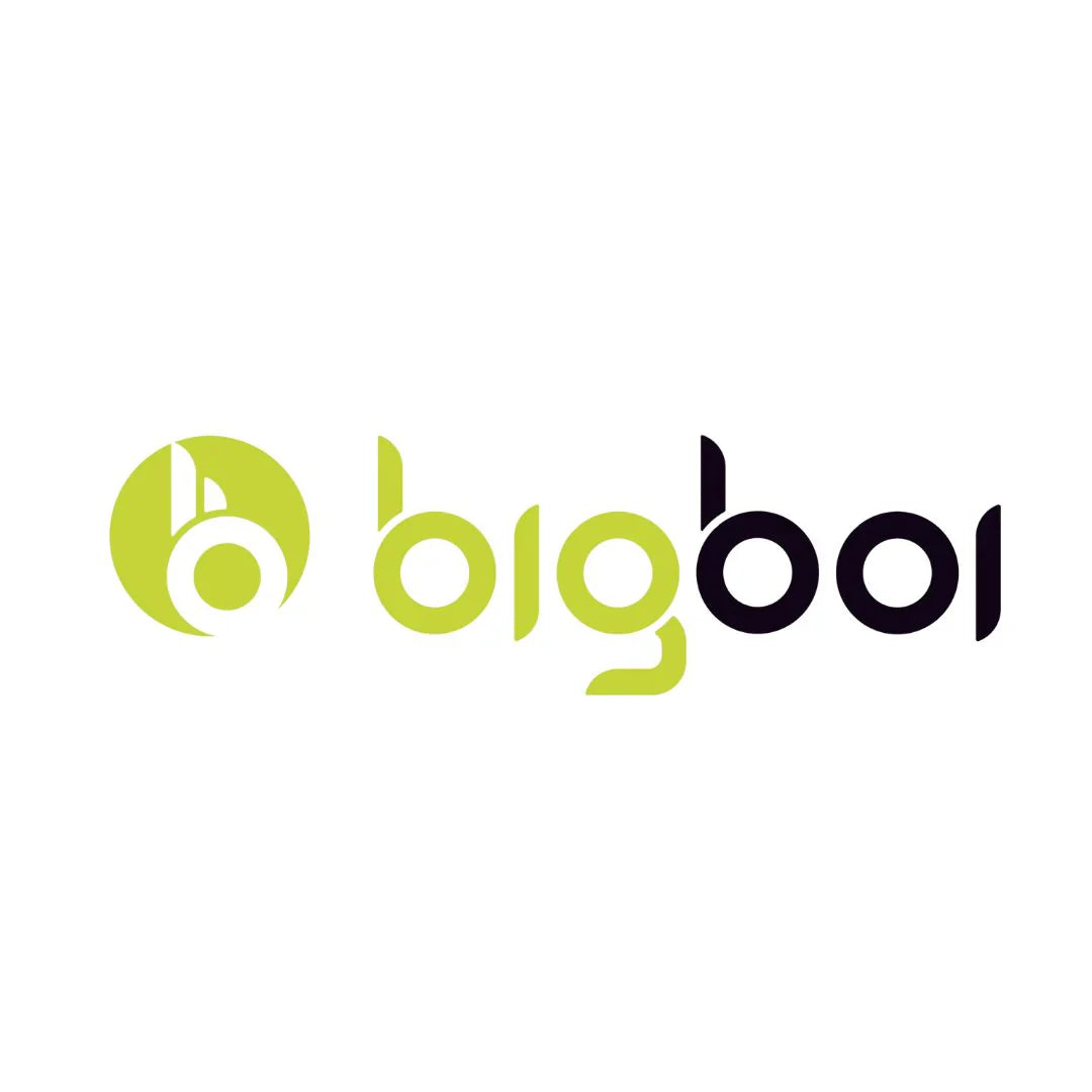 The Complete Guide to BigBoi: What Every Product Is For
