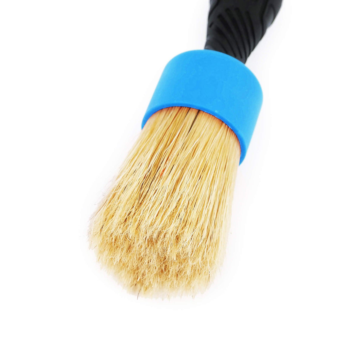 Maxshine Natural Boar’s Hair Detailing Stubby Brush-Utility Brush-Maxshine-Black/Blue Stubby Brush-Detailing Shed