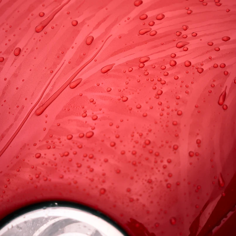Yum Foam+