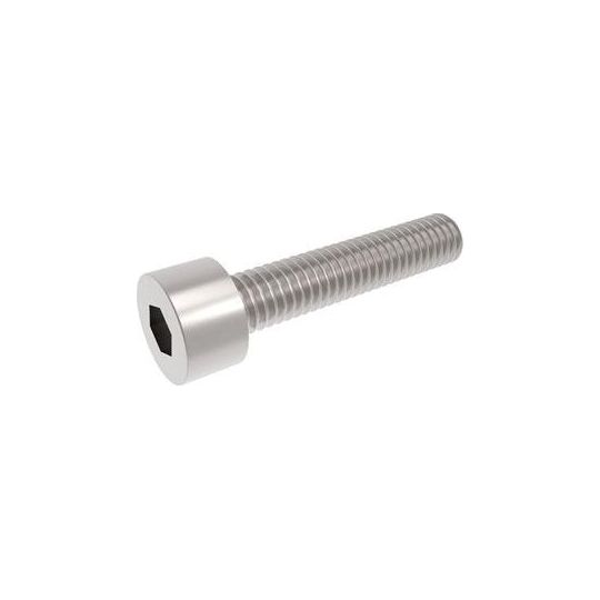 MTM Stainless Cap Screw for PF22-Repair Kit-MTM Hydro-Detailing Shed