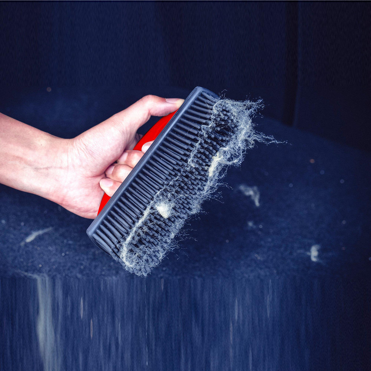 Maxshine Carpet Lint and Hair Removal Brush Detailing Shed