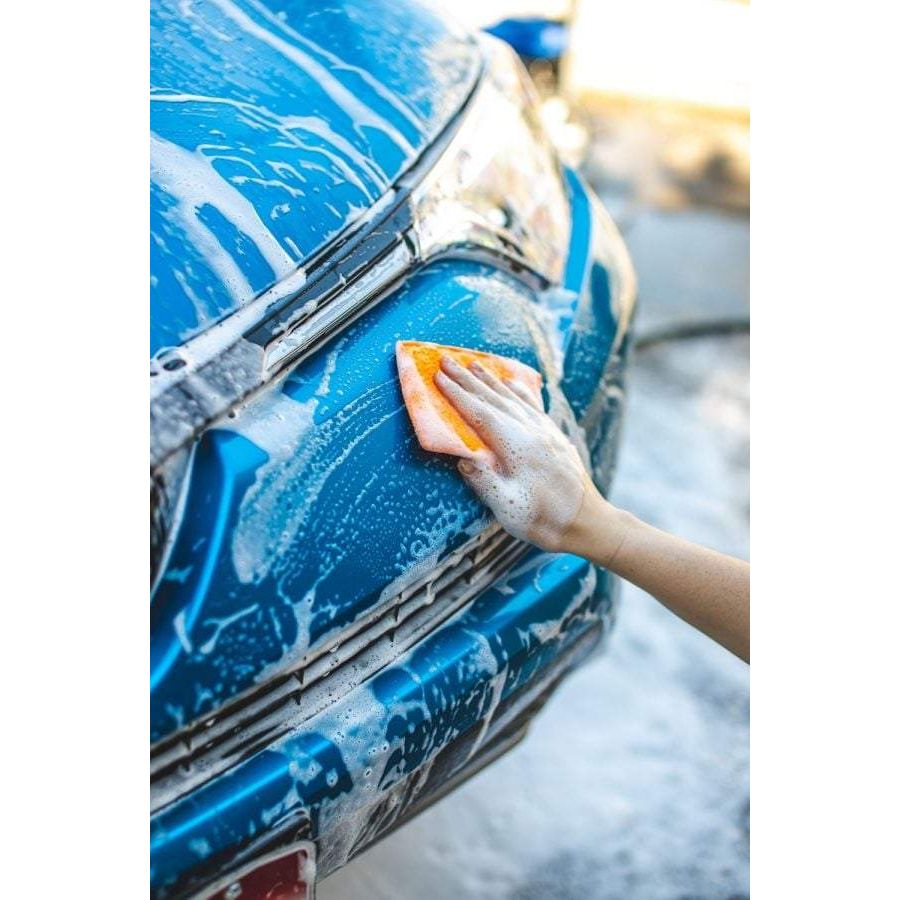 Jersey-Bug-Scrubber-Pad on car with Bugs